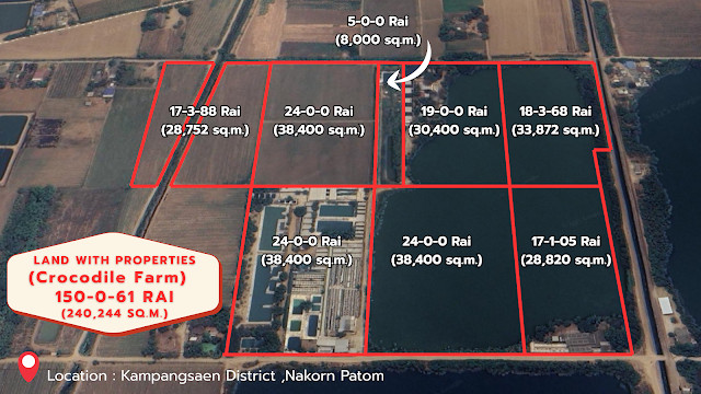 Land for sale with Properties 150-0-61 rai (240,244 sq.m.) and crocodile farm business has complete documents CITES - GMP - near the expressway, ready to continue doing business immediately. Land for sale with Properties 150-0-61 rai (240,244 sq.m.) and crocodile farm business has complete documents CITES - GMP - near the expressway, ready to continue doing business immediately.