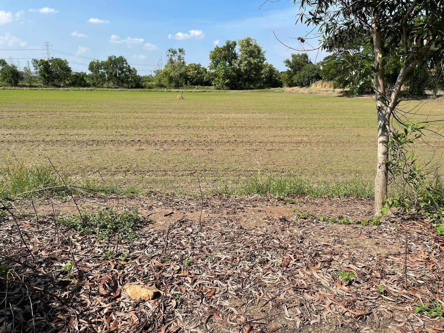 Urgent sale! Lat Lum Kaeo land, 1 rai 50 sq m, along Khlong To Sen Road, good location, wide frontage, corner plot, south facing, receives wind all year round. – รูปที่ 2