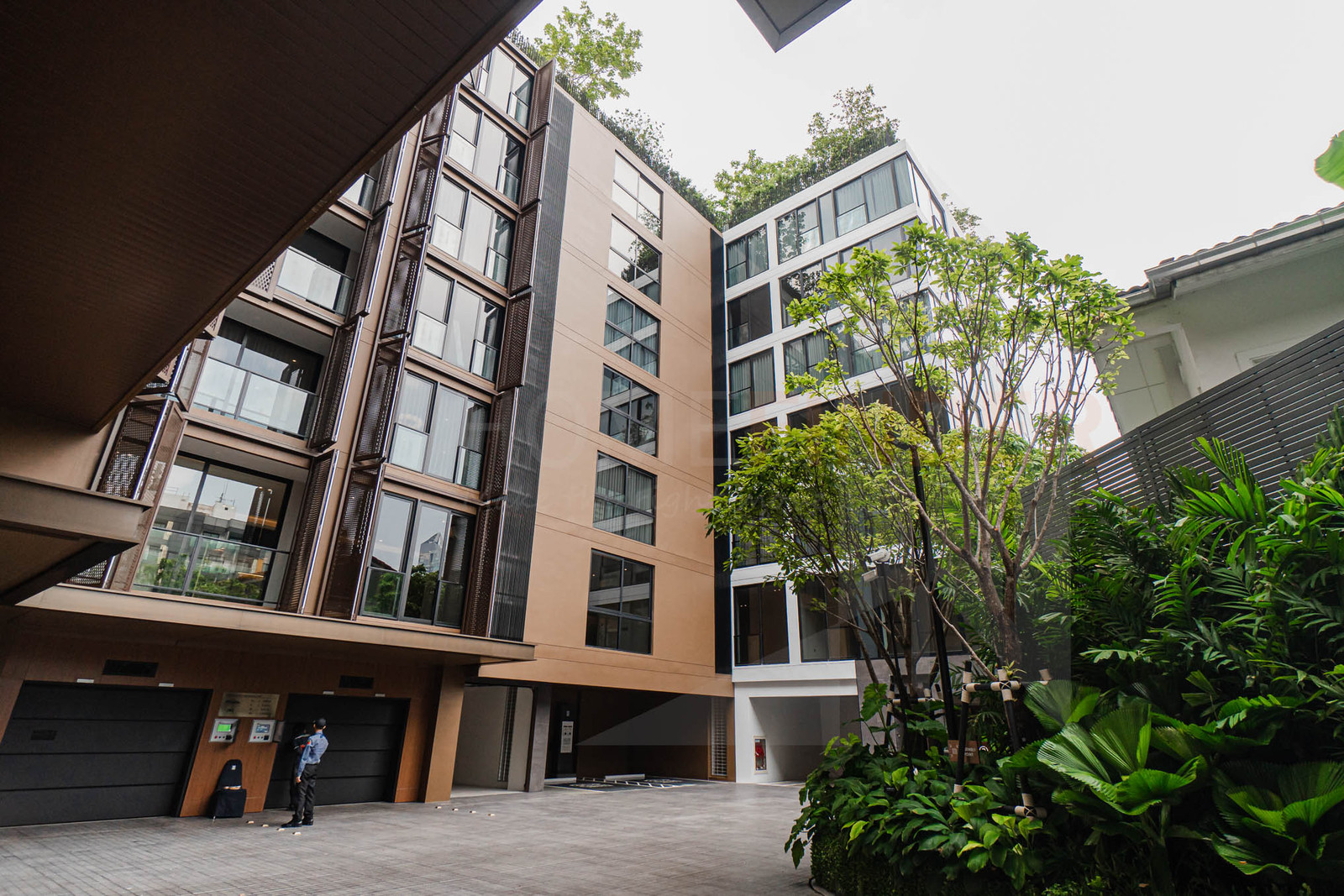 Pet Friendly Luxury Condo ทองหล่อ ราคาเพียง 23.19 ล้านบาท 🔥 Pet Friendly Luxury Condo ทองหล่อ ราคาเพียง 23.19 ล้านบาท 🔥
