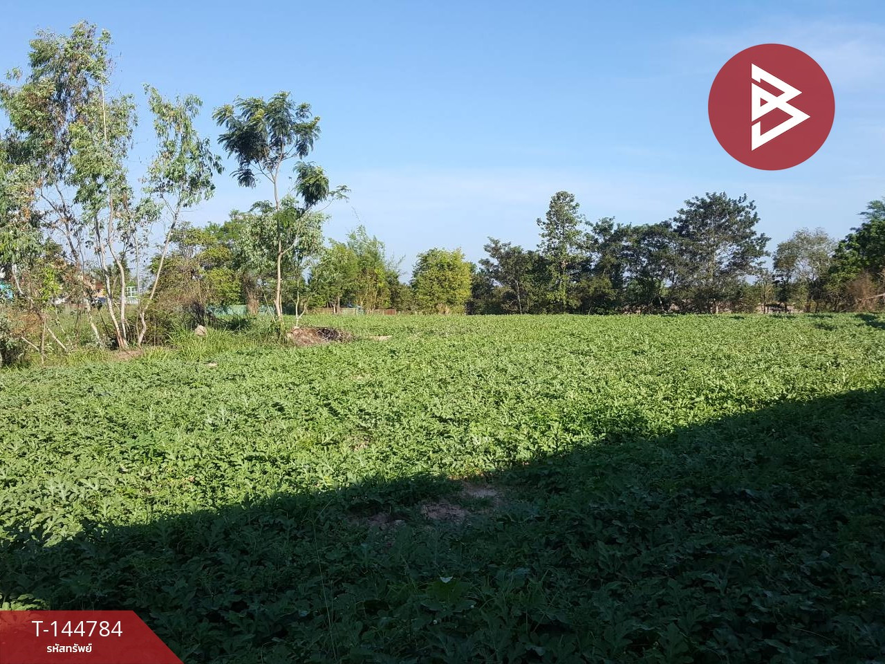 Land for sale next to the main road, area 5 rai 71 sq m, Mueang Mukdahan. – รูปที่ 4