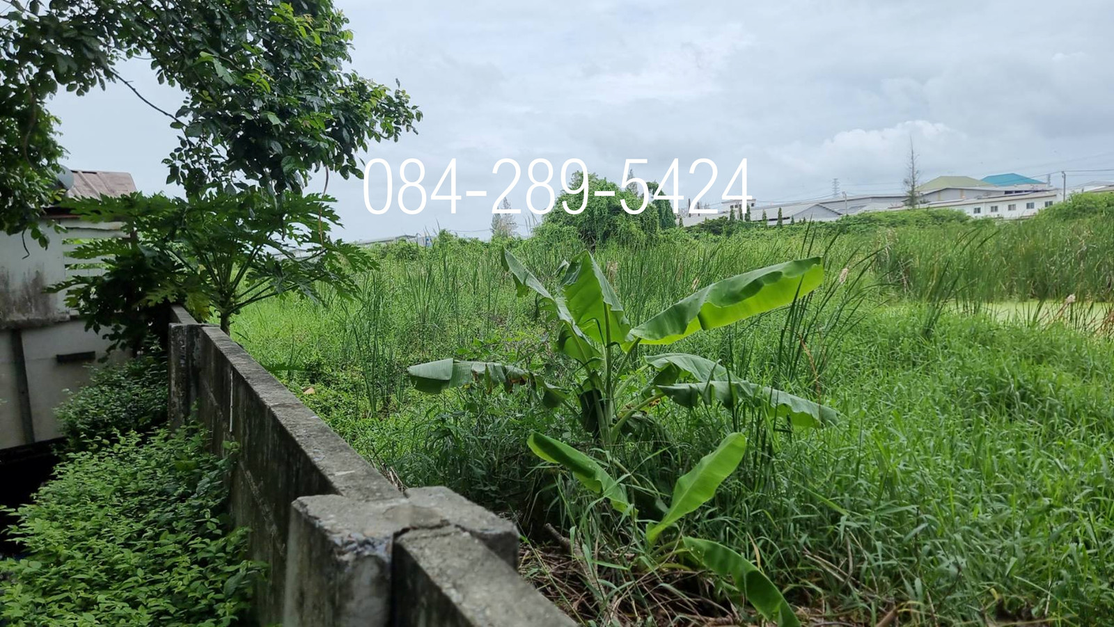 ขายที่ดิน บางนา  เนื้อที่รวม 647 ตารางวา อำเภอบางพลี จังหวัดสมุทรปราการ – รูปที่ 3