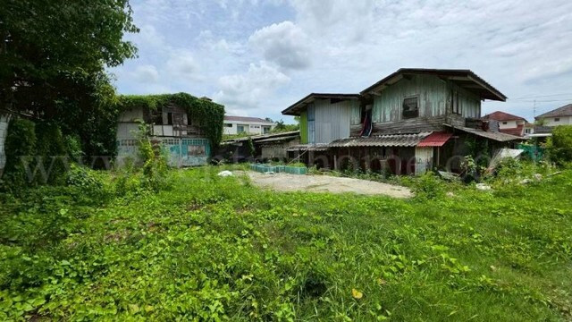 ที่ดิน 125 ตรว. ซอยทวีวัฒนา 43 ถนนบรมราชชนนี ทำเลดี ราคาถูกมาก – รูปที่ 4