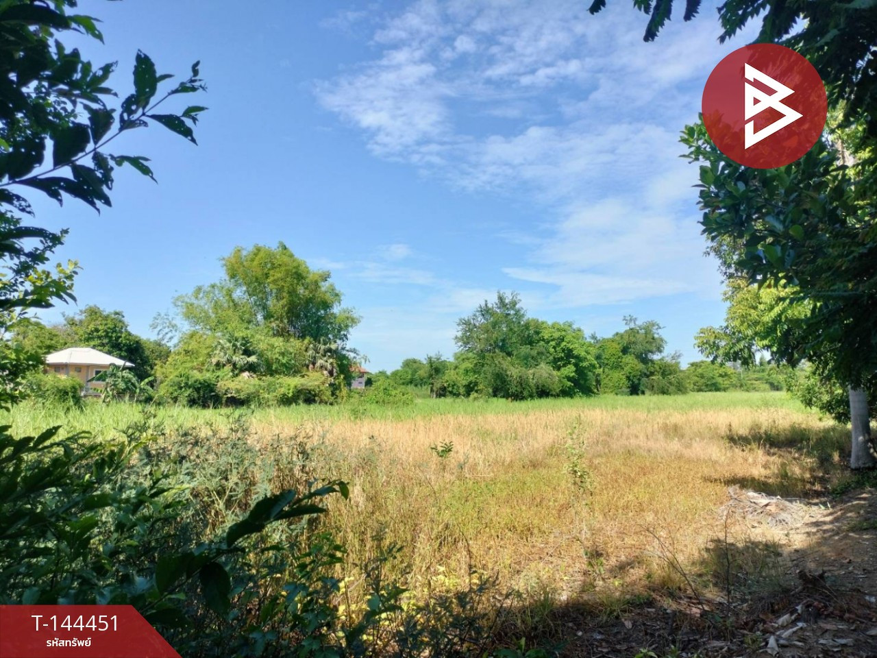 Land for sale, area 5 rai 2 ngan 22.7 sq m, Phrom Phiram, Phitsanulok. Land for sale, area 5 rai 2 ngan 22.7 sq m, Phrom Phiram, Phitsanulok.