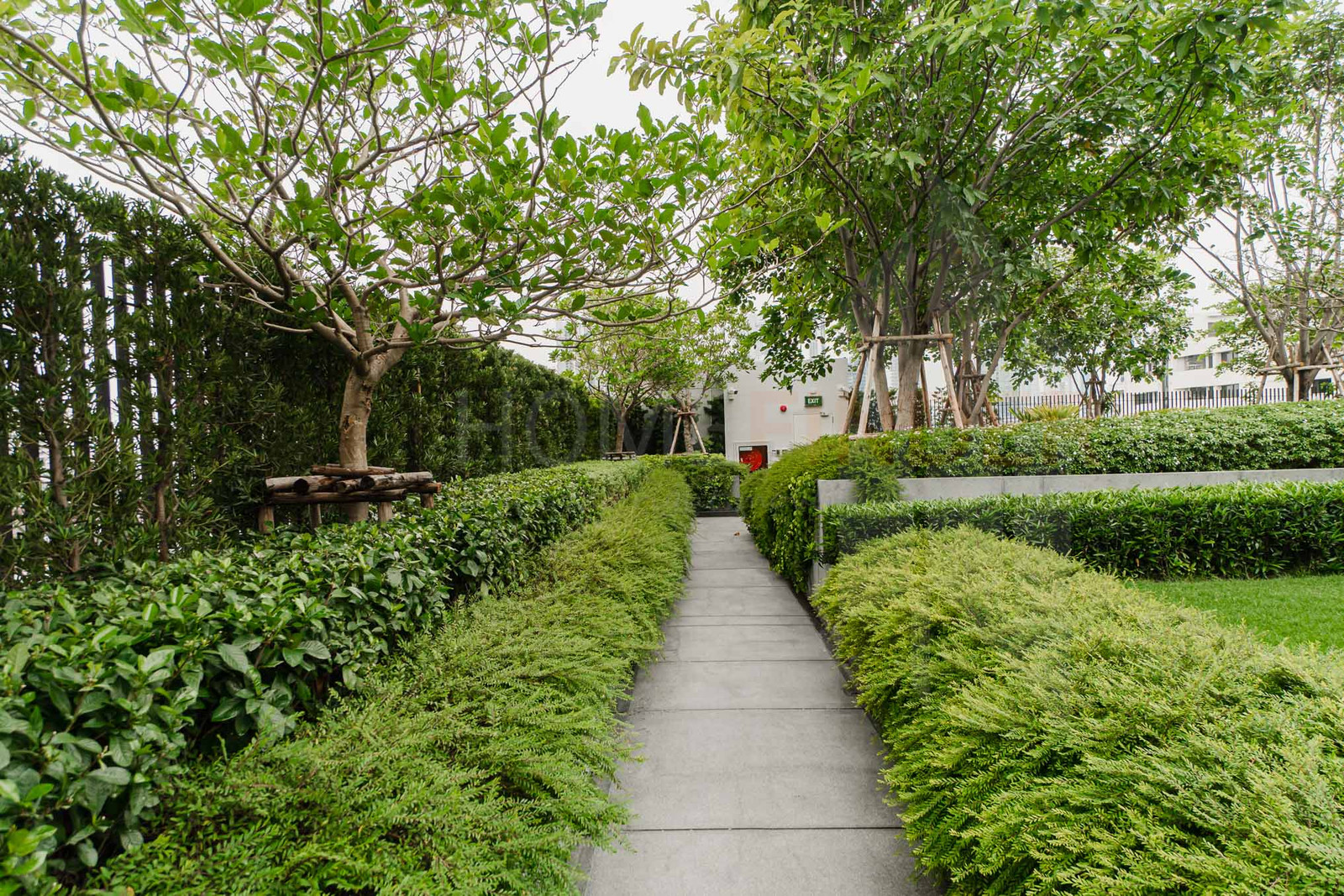 Luxury Condo ทองหล่อ Pet Friendly ห้องใหญ่ เพียง 48.69 ล้าน พร้อมขายวันนี้ 🔥 – รูปที่ 2