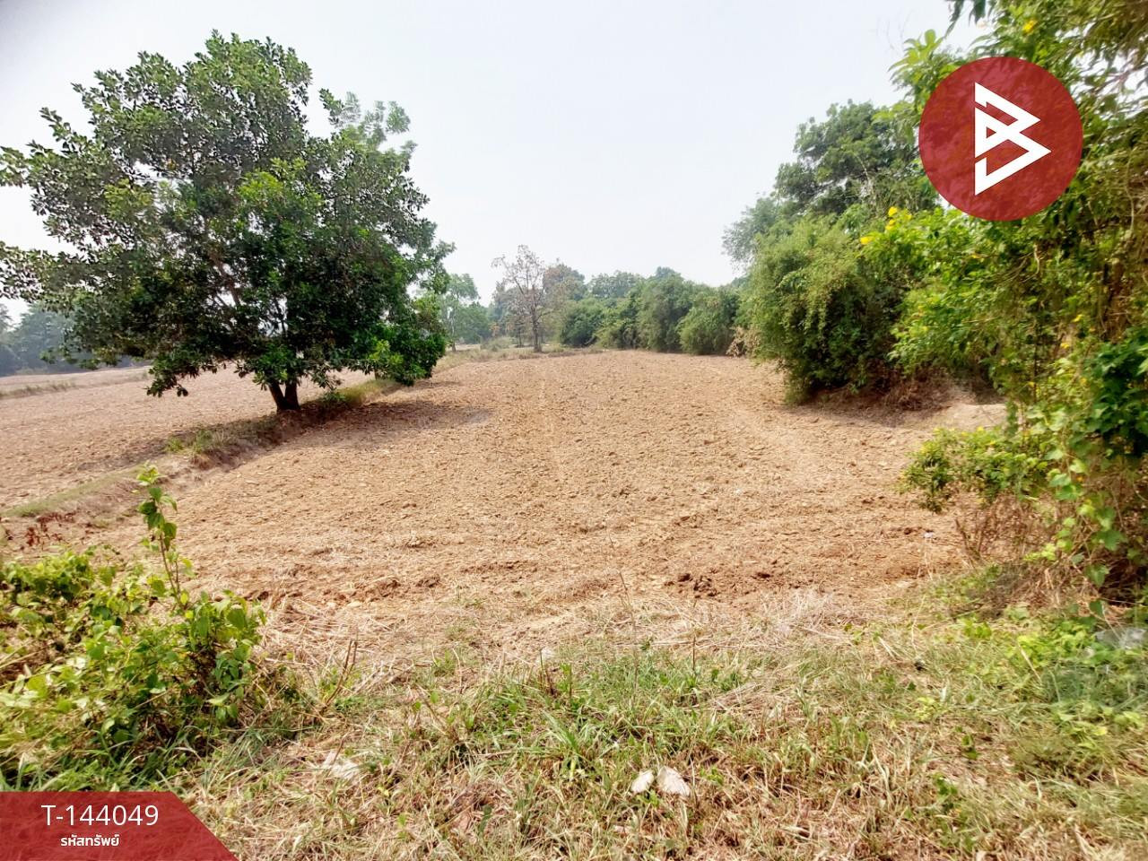 Land for sale, area 20 rai 1 ngan 37.4 sq m, Rattanawapi, Nong Khai.