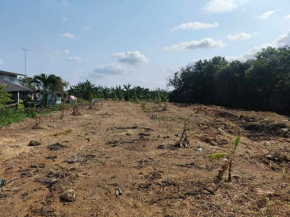 Urgent sale! Phang Muang land 5-2-19 rai, Bang Pakong- Tha Kham, Chachoengsao Urgent sale! Phang Muang land 5-2-19 rai, Bang Pakong- Tha Kham, Chachoengsao