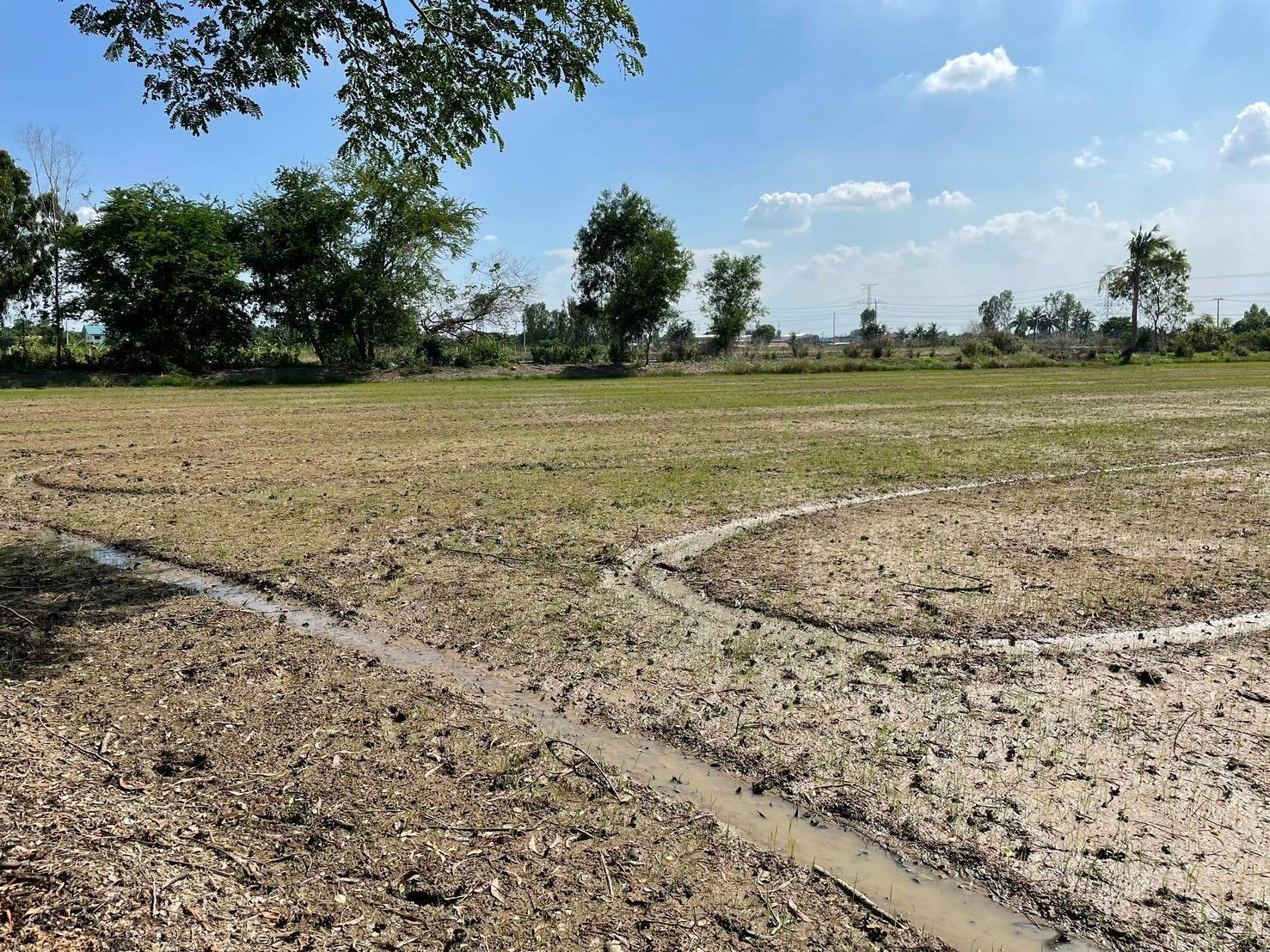 Urgent sale! Lat Lum Kaeo land, 1 rai 50 sq m, along Khlong To Sen Road, good location, wide frontage, corner plot, south facing, receives wind all year round. Urgent sale! Lat Lum Kaeo land, 1 rai 50 sq m, along Khlong To Sen Road, good location, wide frontage, corner plot, south facing, receives wind all year round.