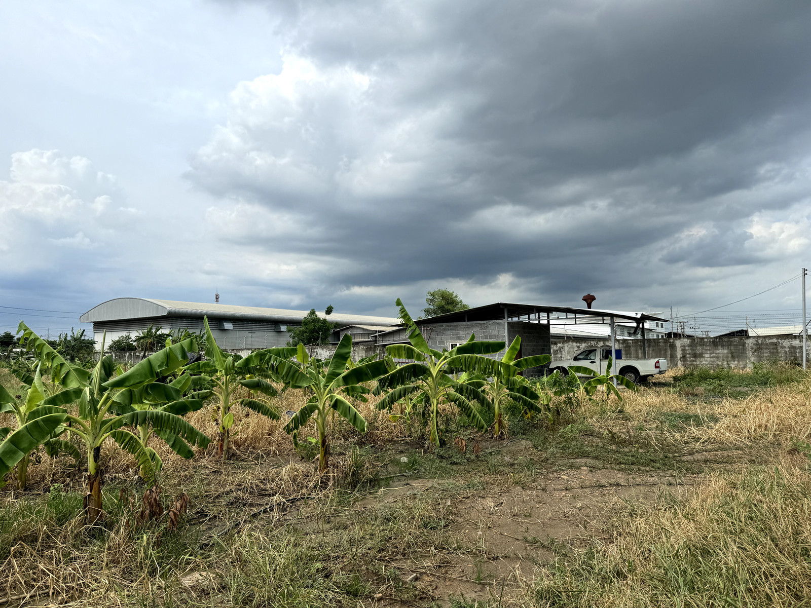 ขายด่วน ที่ดิน 3 ไร่ 2 งาน 64 ตร.วา ถมสูง 10 ปี ซ.บงกช 30 คลองสอง, ปทุมธานี – รูปที่ 4