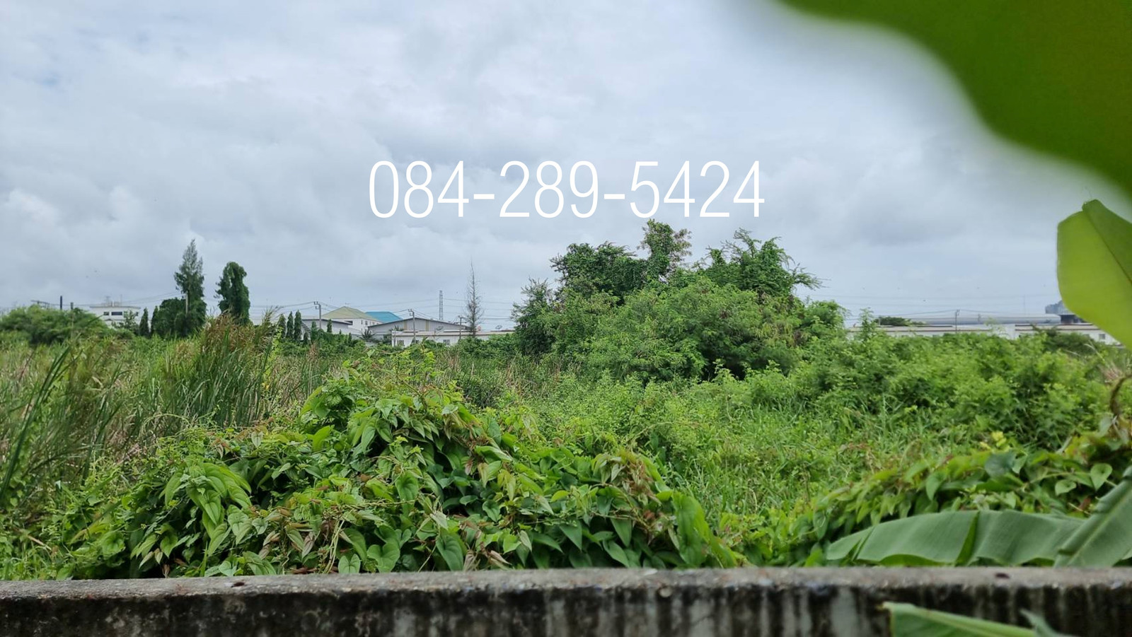 ขายที่ดิน บางนา  เนื้อที่รวม 647 ตารางวา อำเภอบางพลี จังหวัดสมุทรปราการ – รูปที่ 4
