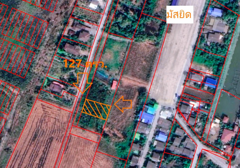 โรงเรียนลำต้อยติ่งวิทยา อุตสาหกรรมบึงโคล่ ที่ดิน127 ตรว. สุวินทวงศ์41 หนองจอก ใกล้มัสยิดนูรุ้ลลอซ์ 508 ตร.ม. พร้อมโฉนด ตำรวจนครบาลลำผักชี – รูปที่ 4