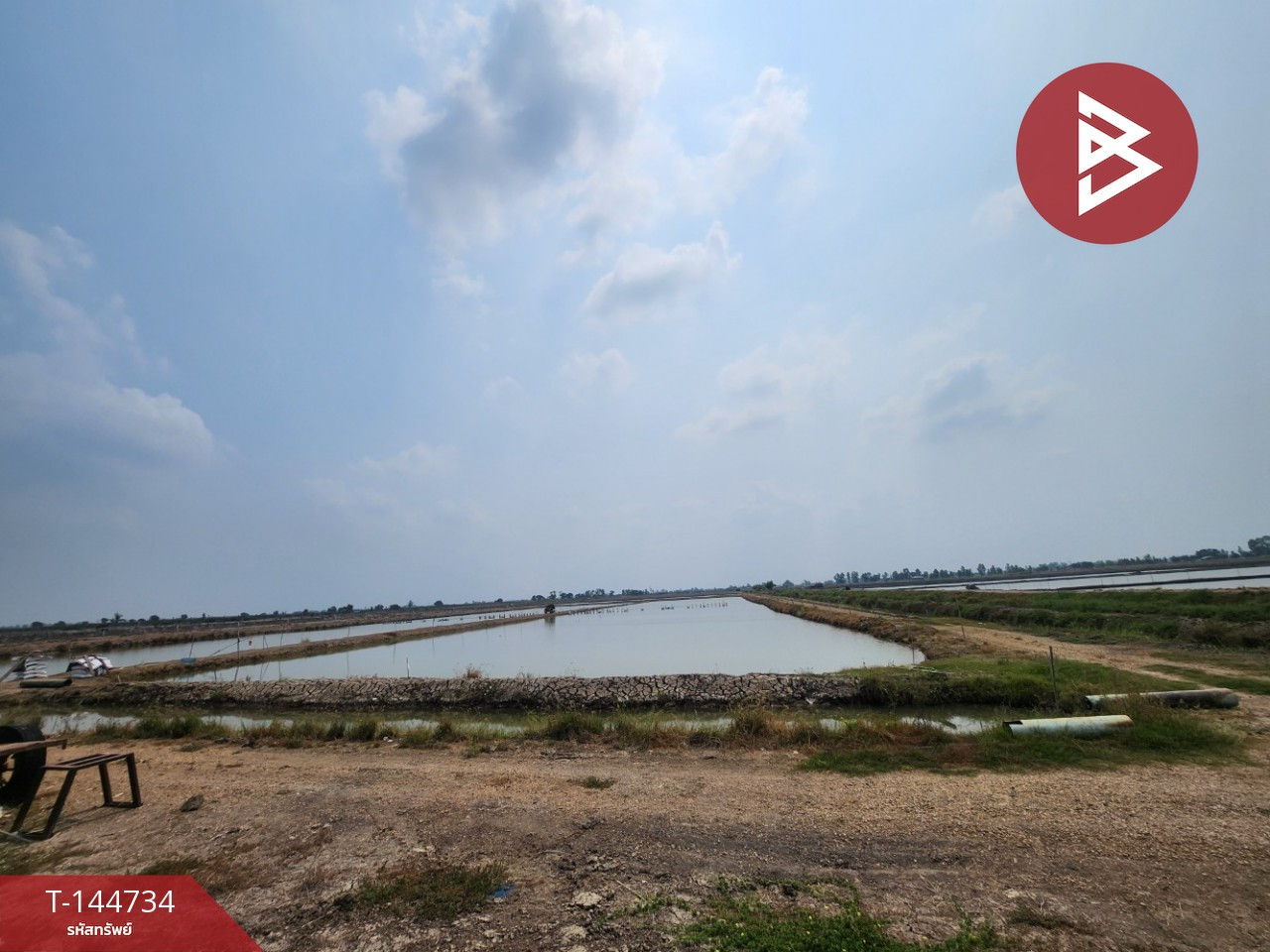 Empty land for sale, area 9 rai 98 sq m, Kamphaeng Saen, Nakhon Pathom. – รูปที่ 4