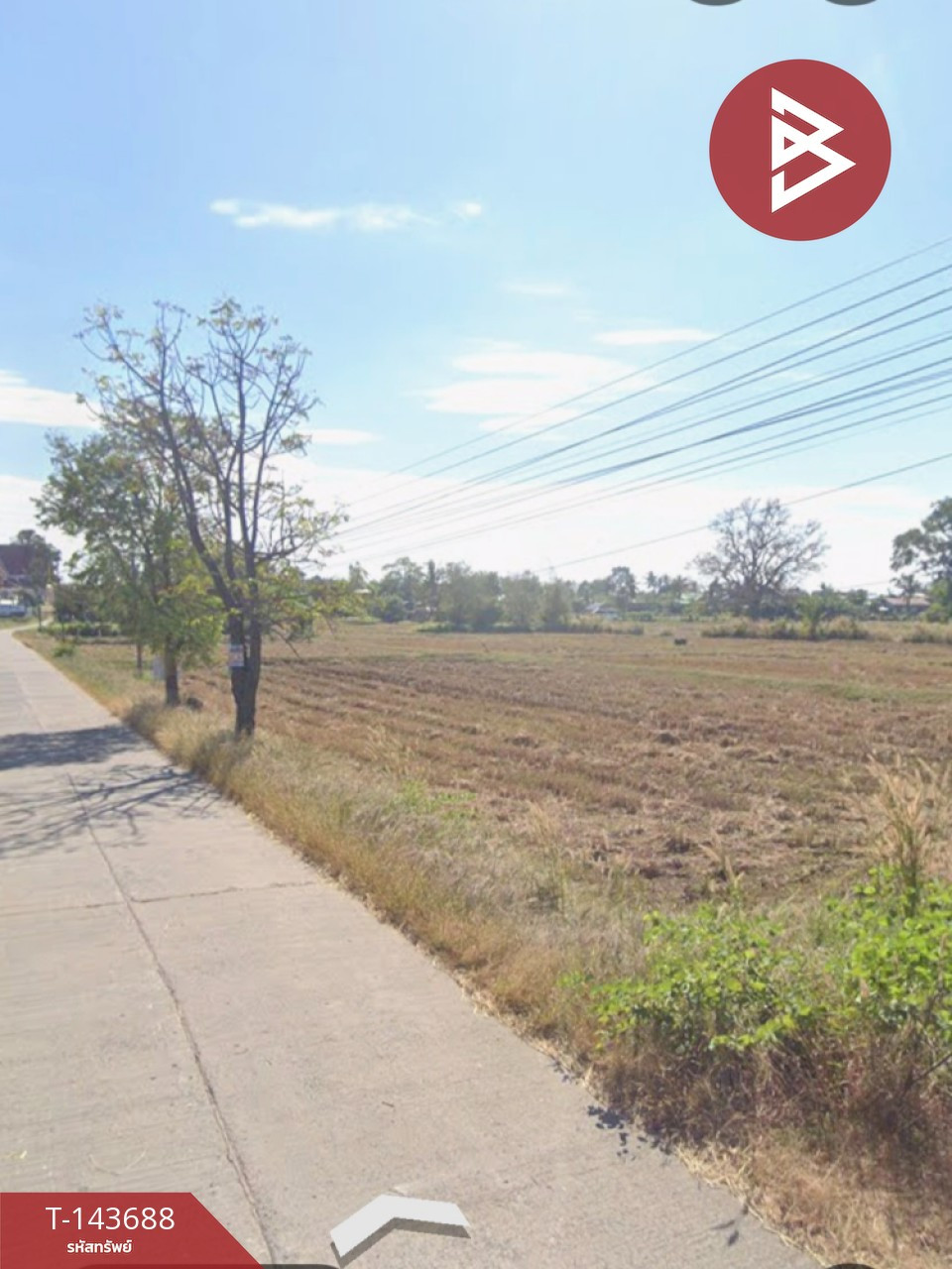 ขายที่ดิน เนื้อที่ 12 ไร่ 3 งาน 77 ตร.วา โพธิ์ศรีสุวรรณ ศรีสะเกษ ขายที่ดิน เนื้อที่ 12 ไร่ 3 งาน 77 ตร.วา โพธิ์ศรีสุวรรณ ศรีสะเกษ