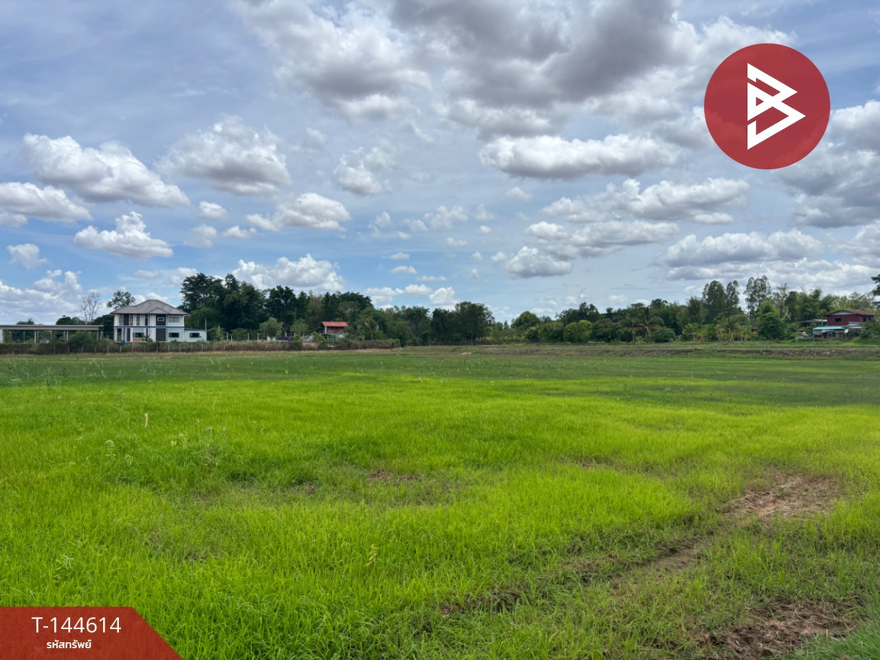 ขายที่ดิน เนื้อที่ 9 ไร่ 51.8 ตร.วา แวงใหญ่ ขอนแก่น – รูปที่ 2