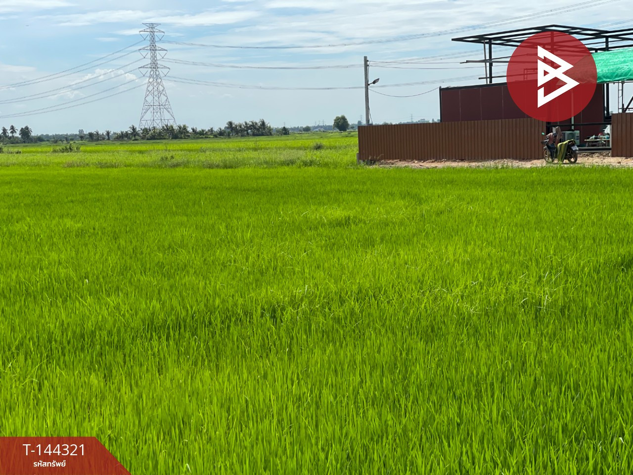 ขายที่ดิน เนื้อที่ 9ไร่ 1 งาน 47.9ตร.วา บางน้ำเปรี้ยว ฉะเชิงเทรา – รูปที่ 2