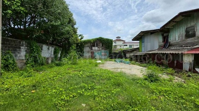 ที่ดิน 125 ตรว. ซอยทวีวัฒนา 43 ถนนบรมราชชนนี ทำเลดี ราคาถูกมาก – รูปที่ 2
