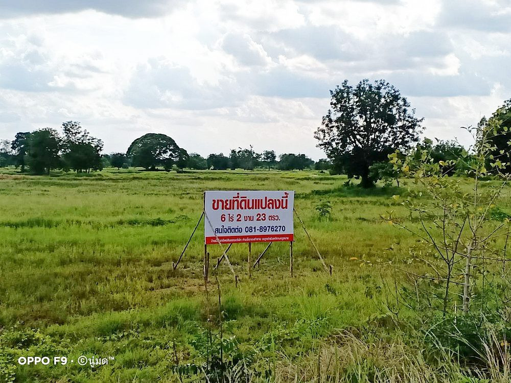 Call : 081-897-6270 Urgent sale! Land in Chaiyaphum, priced below appraised value 6-2-23 rai, Prime location in Nong Bua Yai, Chaturat, Chaiyaphum Call : 081-897-6270 Urgent sale! Land in Chaiyaphum, priced below appraised value 6-2-23 rai, Prime location in Nong Bua Yai, Chaturat, Chaiyaphum