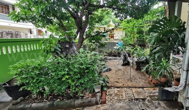 บ้านเดี่ยว ซอยงามวงศ์วาน 43 แยก 7 ทำเลดี พร้อมอยู่ ราคาถูก – รูปที่ 3