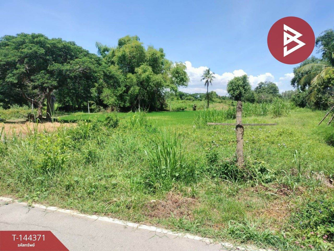 Small plot of land for sale, area 140 sq m, next to Khlong Main, Phrom Phiram District, Phitsanulok. – รูปที่ 2