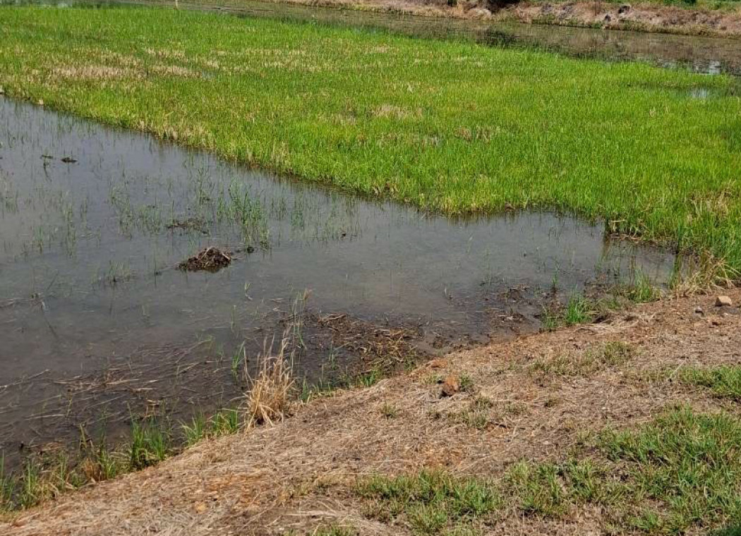 Land for Sale, Nakhon Pathom Province, 0 Rai 2 Ngan 0.1 Sq.W. Near Suan Sunandha Rajabhat University – รูปที่ 2