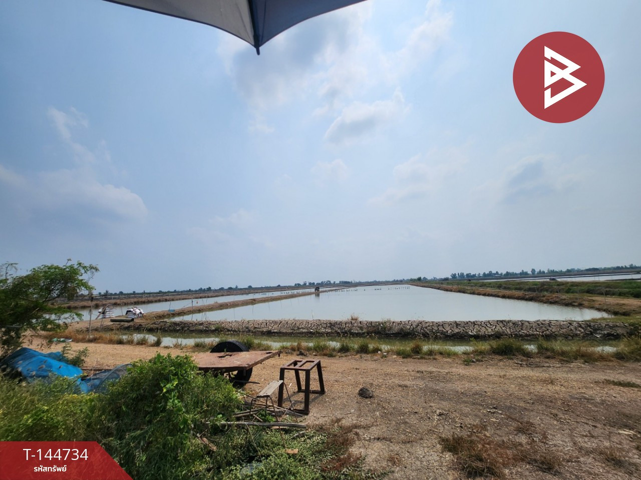 Empty land for sale, area 9 rai 98 sq m, Kamphaeng Saen, Nakhon Pathom. – รูปที่ 2
