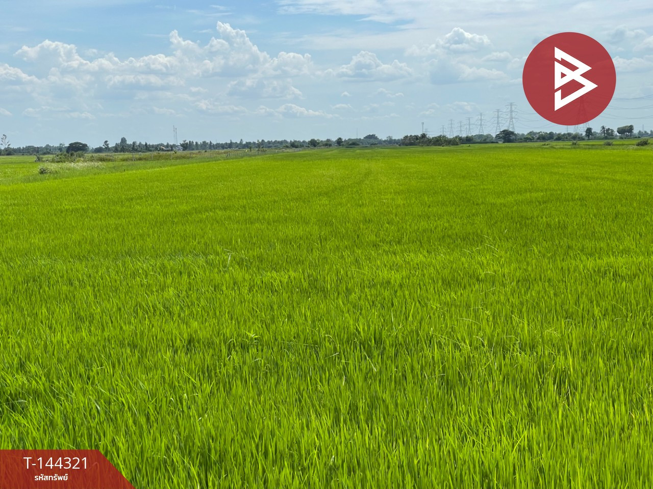ขายที่ดิน เนื้อที่ 9ไร่ 1 งาน 47.9ตร.วา บางน้ำเปรี้ยว ฉะเชิงเทรา – รูปที่ 3