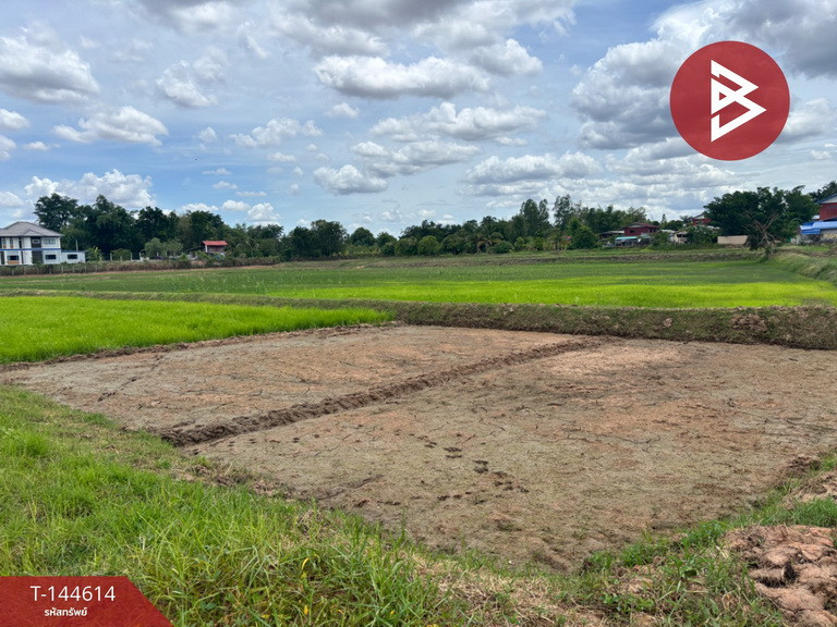 ขายที่ดิน เนื้อที่ 9 ไร่ 51.8 ตร.วา แวงใหญ่ ขอนแก่น – รูปที่ 4