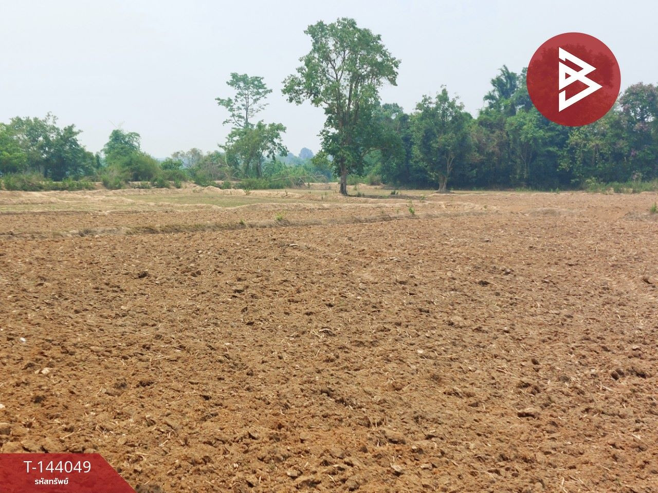 Land for sale, area 20 rai 1 ngan 37.4 sq m, Rattanawapi, Nong Khai. – รูปที่ 4