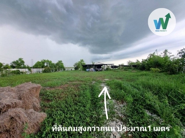 ที่ดินแปลงมุม ถมแล้ว เลียบคลอง 13 หนองจอก แปลงสวย ลมดีตลอดปี พร้อมปลูกบ้าน 1ไร่ 62 ตร.ว – รูปที่ 2