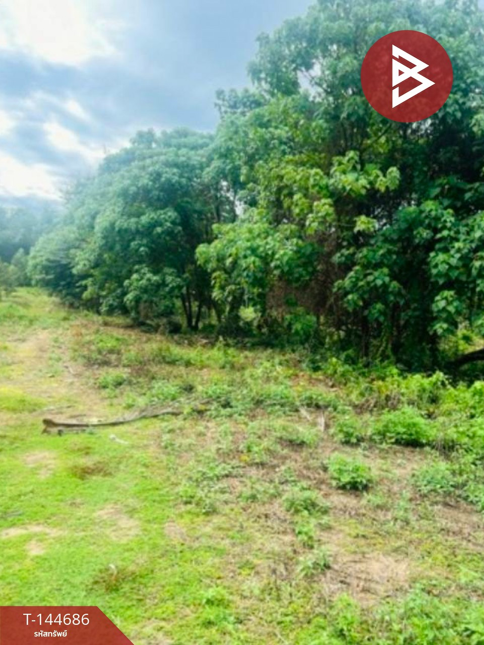 Land for sale, area 6 rai 2 ngan 51.2 sq m, Koh Samui, Surat Thani. – รูปที่ 2