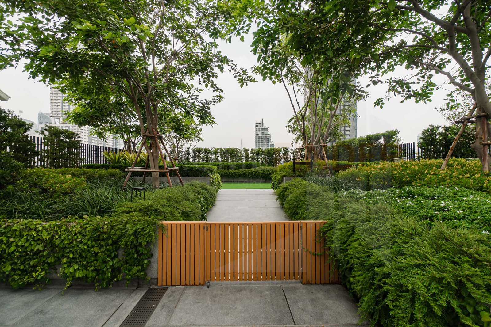 Luxury Condo ทองหล่อ Pet Friendly ห้องใหญ่ เพียง 48.69 ล้าน พร้อมขายวันนี้ 🔥 – รูปที่ 3