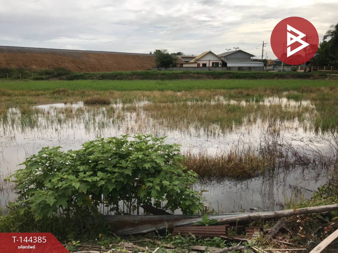 Land for sale, area 1 rai 2 ngan 67.7 sq m, Den Chai, Phrae. – รูปที่ 2