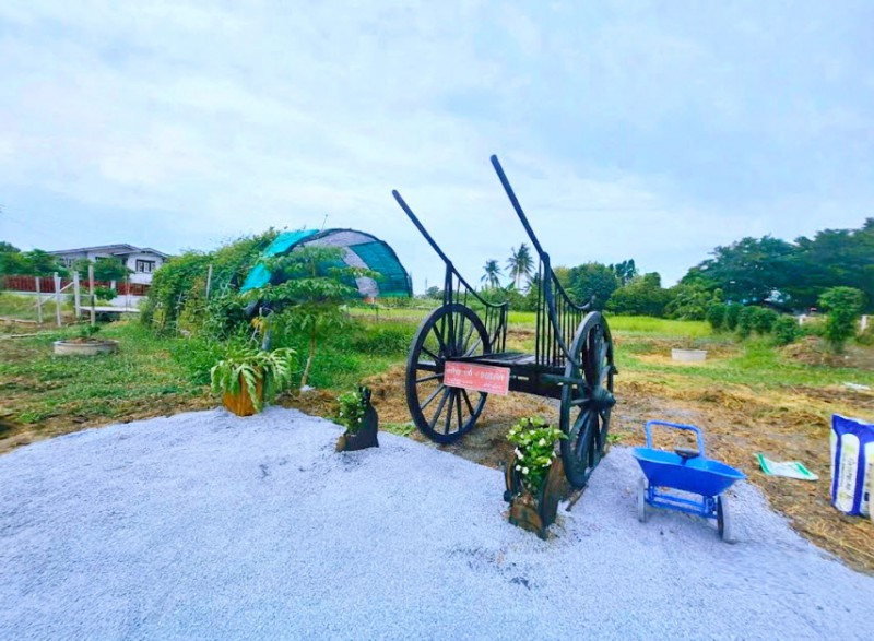โรงเรียนลำต้อยติ่งวิทยา อุตสาหกรรมบึงโคล่ ที่ดิน127 ตรว. สุวินทวงศ์41 หนองจอก ใกล้มัสยิดนูรุ้ลลอซ์ 508 ตร.ม. พร้อมโฉนด ตำรวจนครบาลลำผักชี – รูปที่ 2