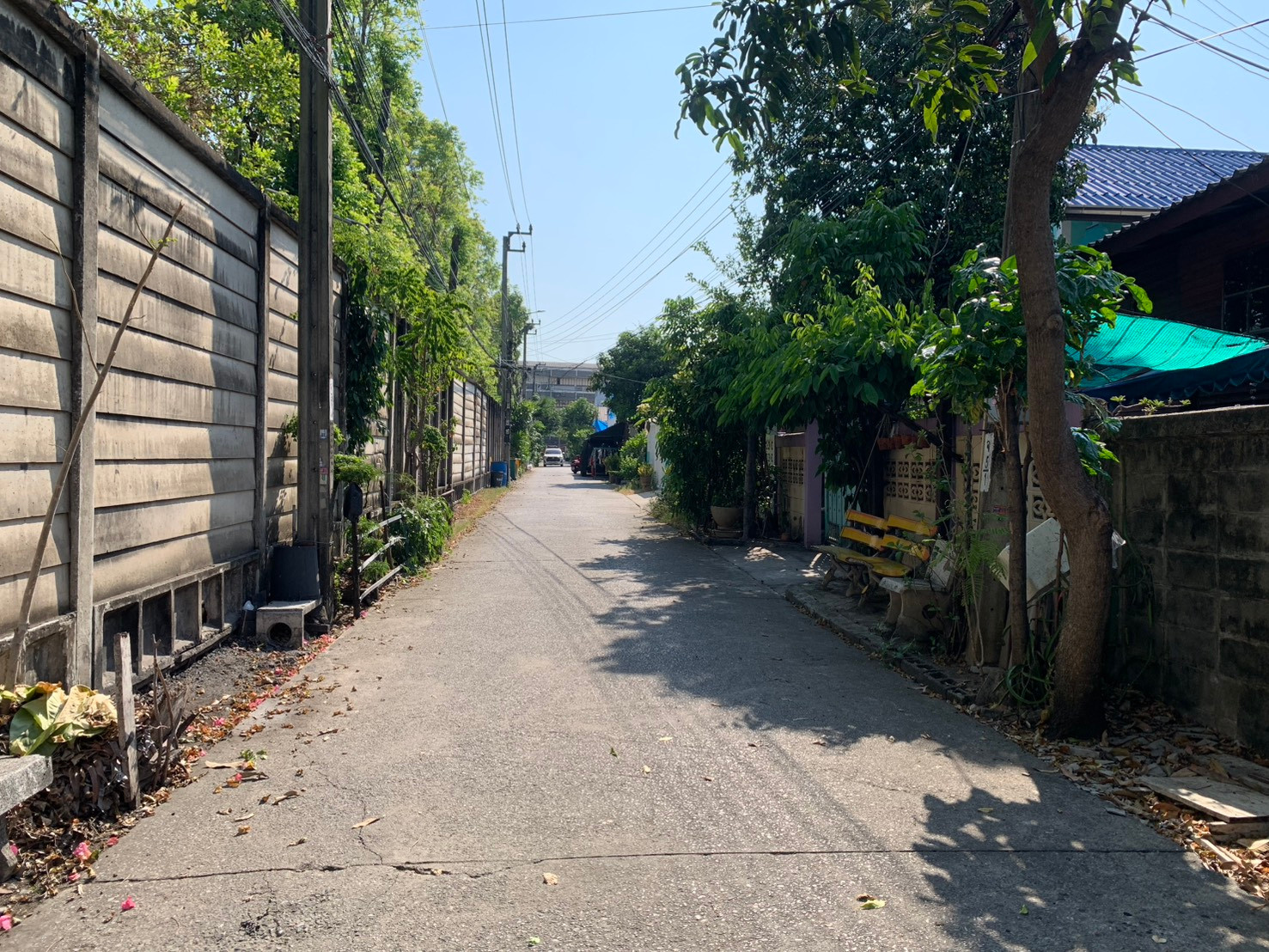 ขายที่ดินเปล่า ซอยลาดปลาเค้า 56 แปลงใหญ่ เหมาะสร้างบ้าน – รูปที่ 2
