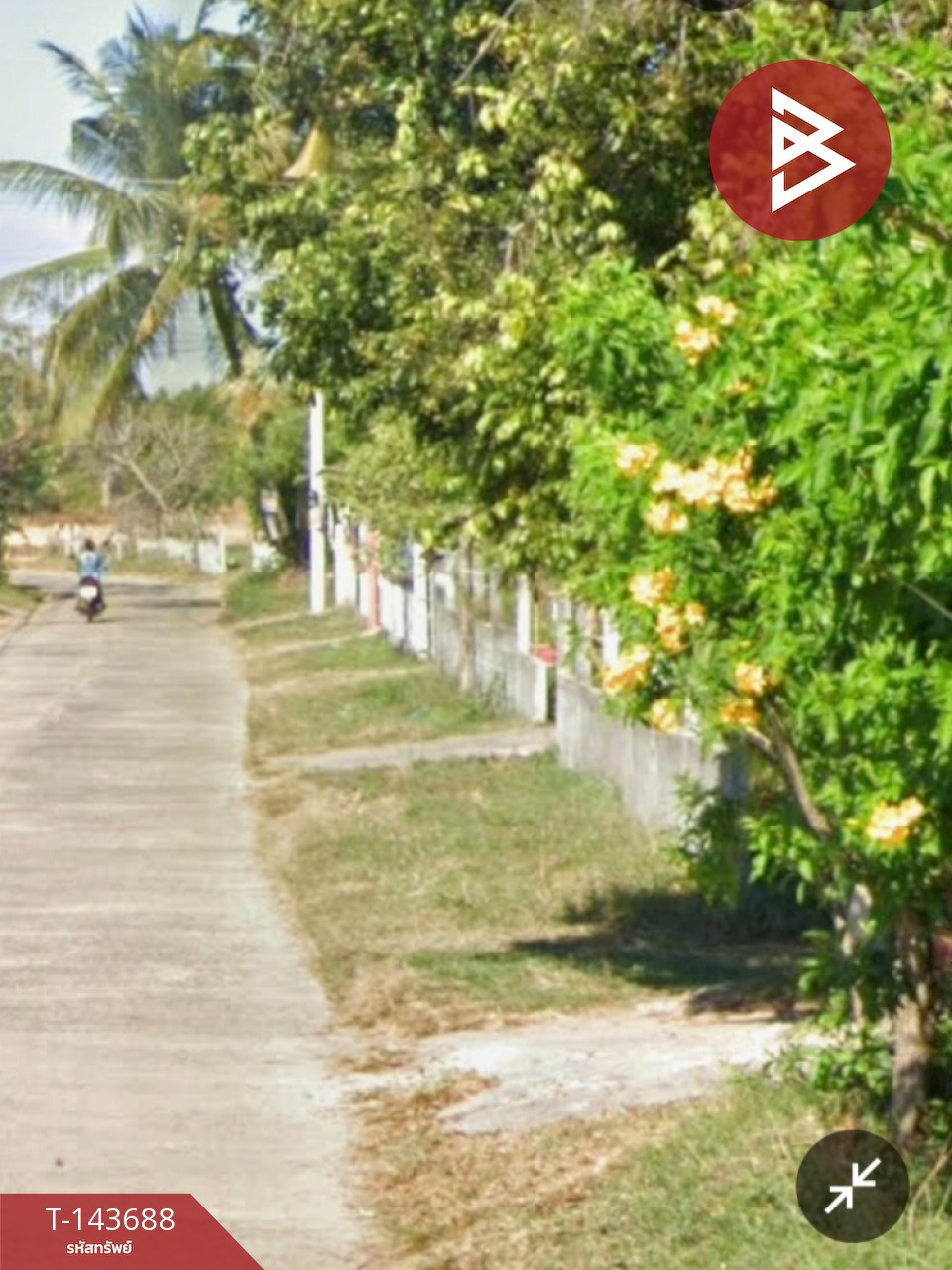 ขายที่ดิน เนื้อที่ 12 ไร่ 3 งาน 77 ตร.วา โพธิ์ศรีสุวรรณ ศรีสะเกษ – รูปที่ 4