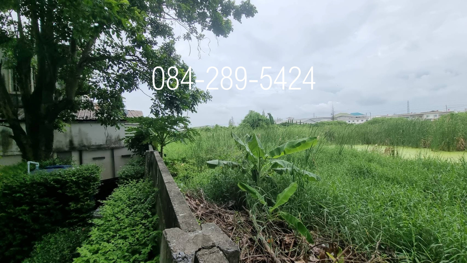 ขายที่ดิน บางนา  เนื้อที่รวม 647 ตารางวา อำเภอบางพลี จังหวัดสมุทรปราการ – รูปที่ 2