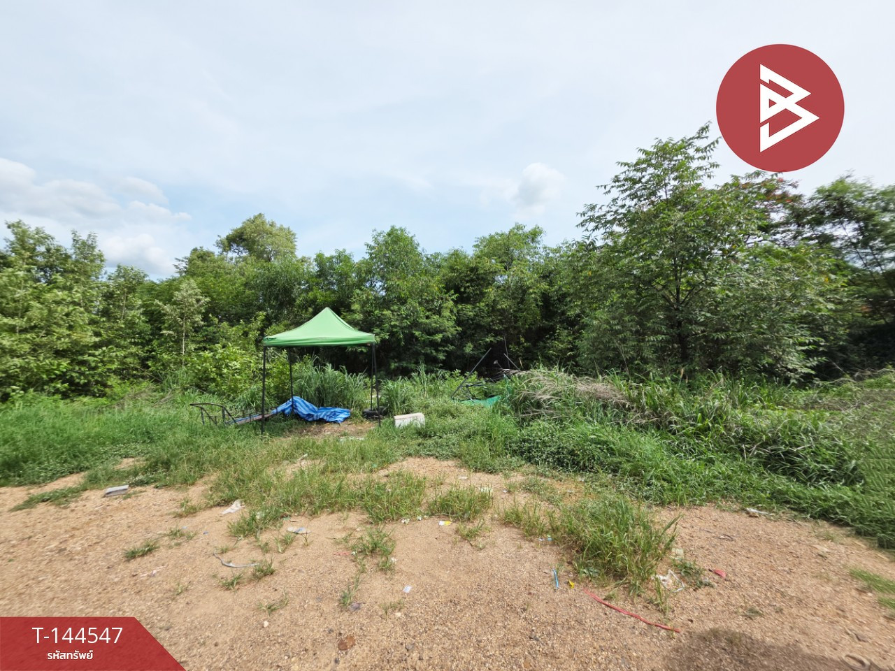 ขายที่ดิน เนื้อที่ 3 งาน คลองหลวง ปทุมธานี – รูปที่ 2