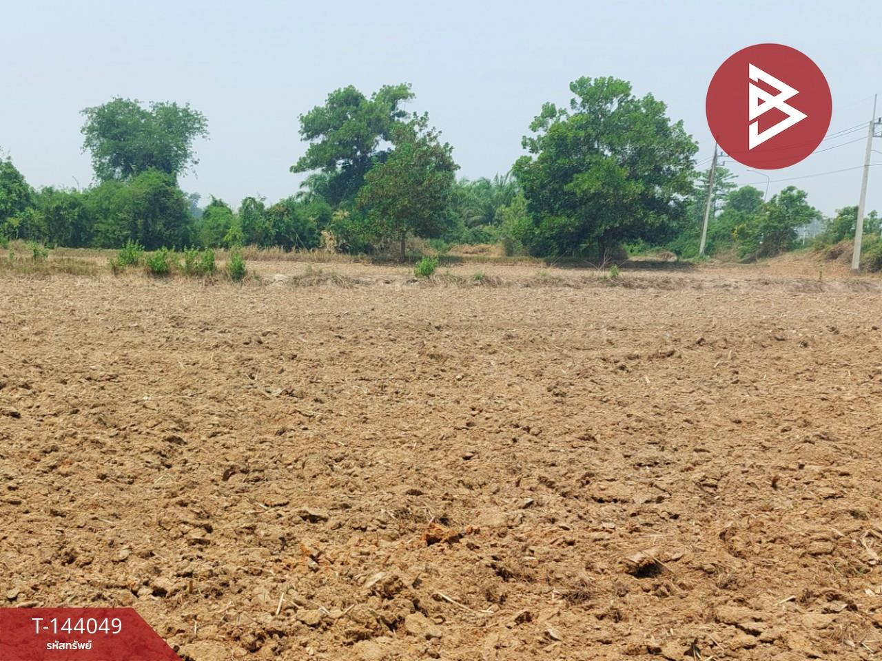 Land for sale, area 20 rai 1 ngan 37.4 sq m, Rattanawapi, Nong Khai. – รูปที่ 2