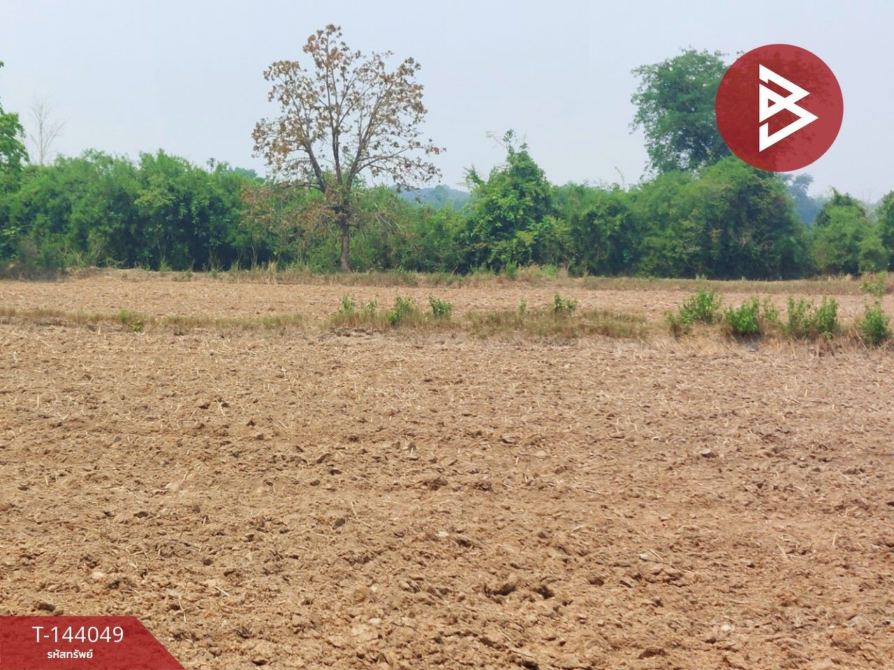 Land for sale, area 20 rai 1 ngan 37.4 sq m, Rattanawapi, Nong Khai. – รูปที่ 3