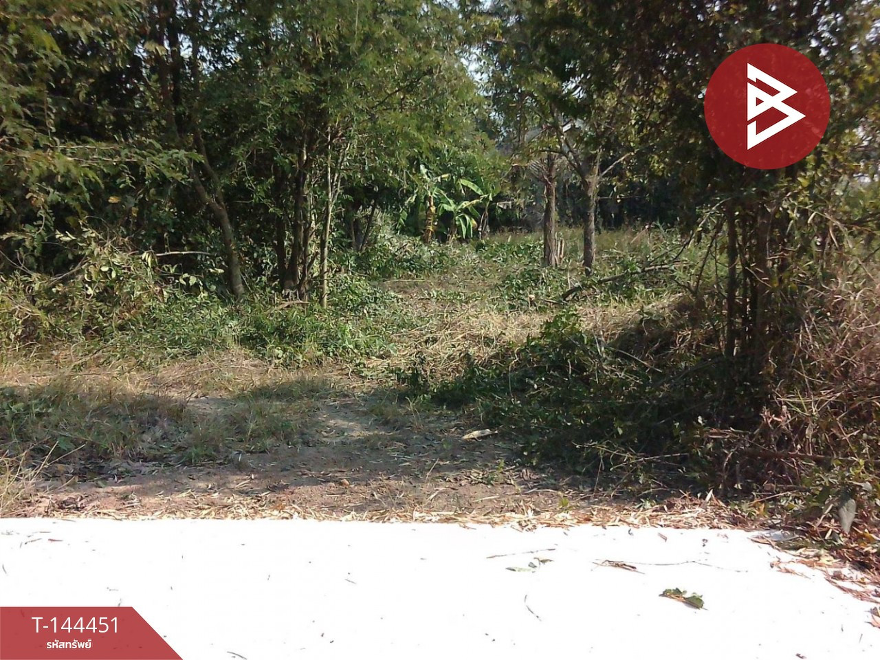 Land for sale, area 5 rai 2 ngan 22.7 sq m, Phrom Phiram, Phitsanulok. – รูปที่ 4