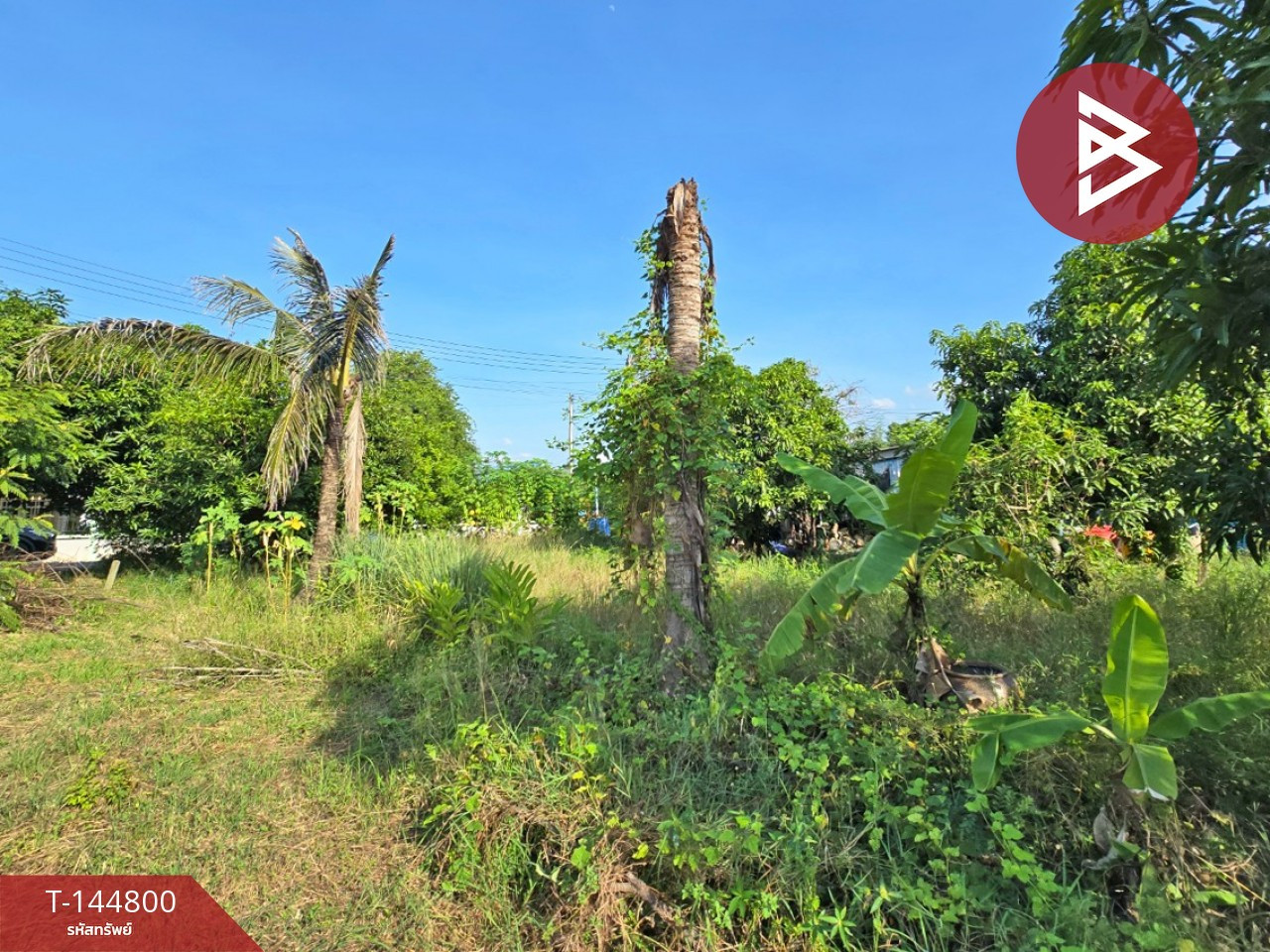 Land for sale, area 1 ngan 20 sq m, Don Tum, Nakhon Pathom. – รูปที่ 4