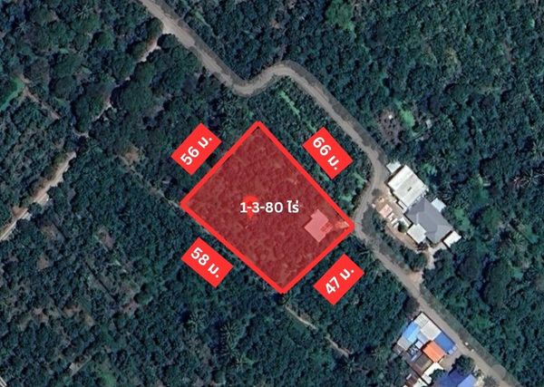 ขาย ที่ดินสวน 1-3-80 ไร่ บางสะแก บางคนที สมุทรสงคราม