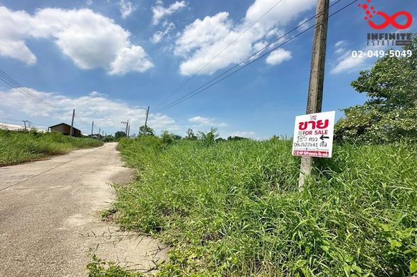 Land for sale, 185 sq m, already filled, Flora Ville Village, Suwinthawong 38, Nong Chok.