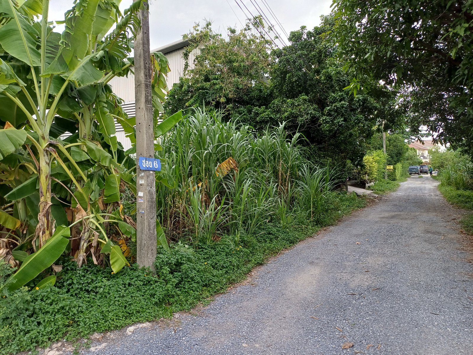 Land for sale, Soi Ramintra 47, near Watcharaphon intersection, already filled, 226 sq m, width 35 m, depth 26 m, 700 meters from the entrance of the alley. – รูปที่ 3