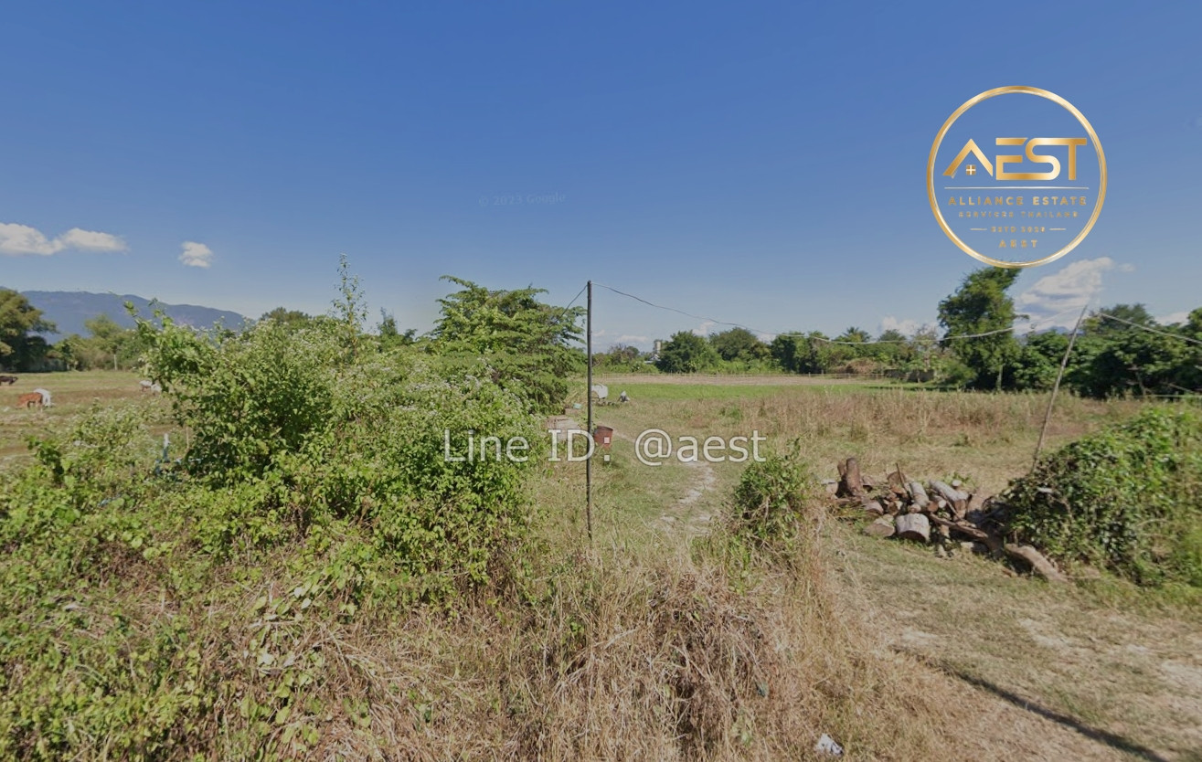 ขายที่ดินเปล่า 8 ไร่ 16 ตร.ว. ผังชมพู อ.เชียงดาว จ.เชียงใหม่ (700ม. จากที่ว่าการอำเภอเชียงดาว) – รูปที่ 4