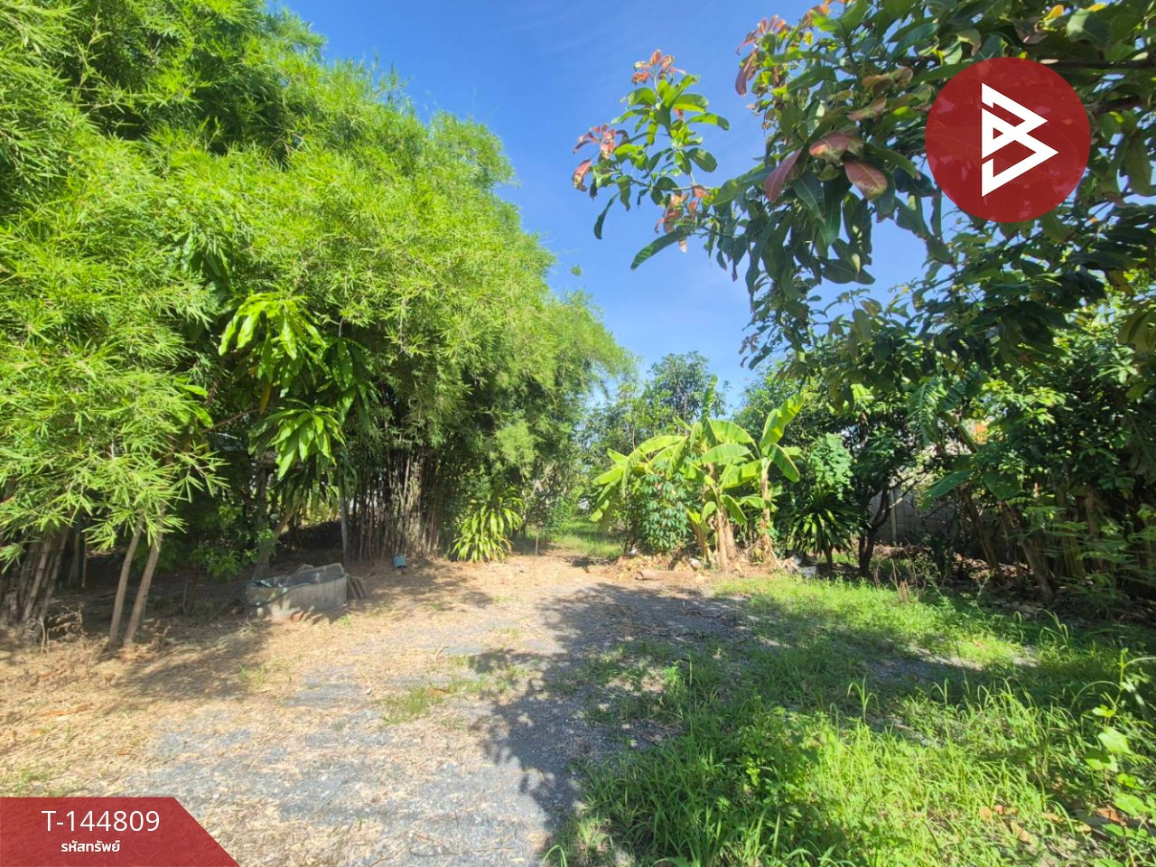 Land for sale, area 3 ngan, Sam Phran, Nakhon Pathom. – รูปที่ 4