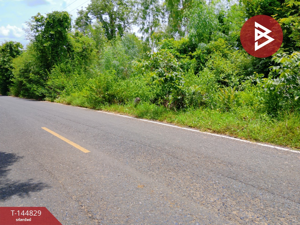 Land for sale, area 7 rai 3 ngan 43 sq m, Chom Phra, Surin. – รูปที่ 3