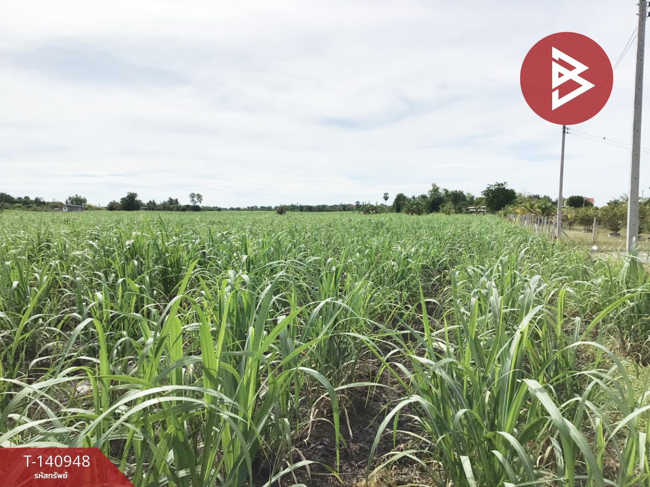 Land for sale, area 8 rai 2 ngan 71.2 square wah, U Thong, Suphanburi. – รูปที่ 2