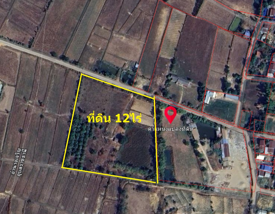 # 🌳 Garden land for sale, 12 rai, Ubon Ratchathani Province. With more than 200 teak trees next to a public road. Suitable for building a house, resort, cafe or agricultural project. Tel. 084-694-8888 # 🌳 Garden land for sale, 12 rai, Ubon Ratchathani Province. With more than 200 teak trees next to a public road. Suitable for building a house, resort, cafe or agricultural project. Tel. 084-694-8888