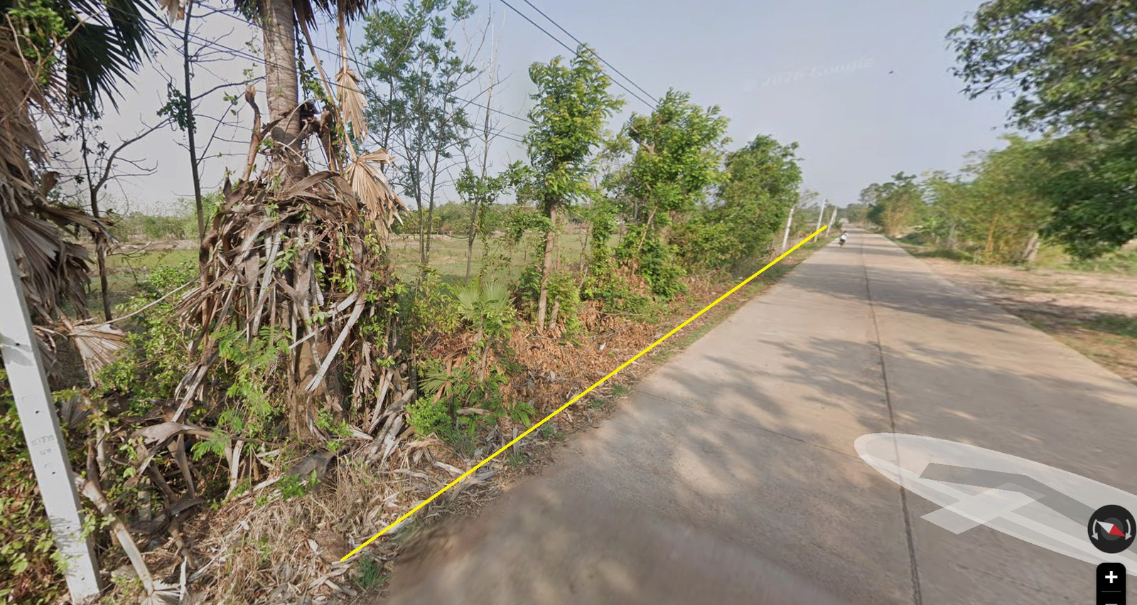 # 🌳 Garden land for sale, 12 rai, Ubon Ratchathani Province. With more than 200 teak trees next to a public road. Suitable for building a house, resort, cafe or agricultural project. Tel. 084-694-8888 – รูปที่ 4