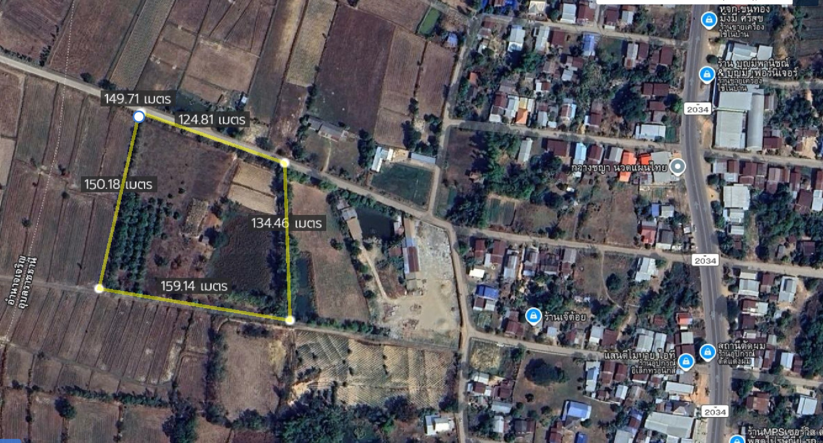 # 🌳 Garden land for sale, 12 rai, Ubon Ratchathani Province. With more than 200 teak trees next to a public road. Suitable for building a house, resort, cafe or agricultural project. Tel. 084-694-8888 – รูปที่ 2